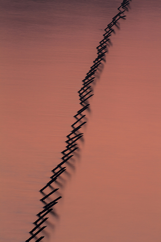 10. ⓒ박종우, DMZ_NLL 3, Archival Pigment Print.jpg