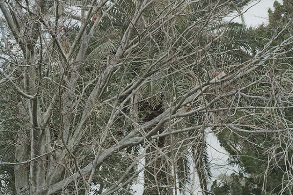 ⓒ 김옥선, Untitled_yongheung681, Digital C-Print, 150x120cm, 2016.jpg