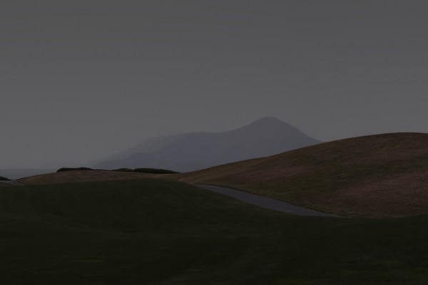 ⓒ이명호, 나무 18_1_2, 종이잉크, 676 x 2976 x 1mm, 2020.jpg