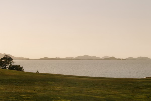 ⓒ이명호, 나무 18_1_1, 종이잉크, 676 x 2976 x 1mm, 2020.jpg