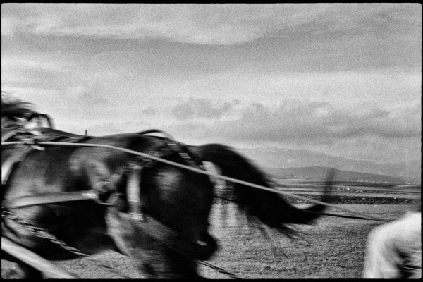 8. ⓒ Alain Keler, Motel Paradiso35, Pigment Print, 2008.JPG