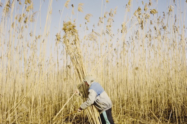 10. ⓒ Julien Pebrel, Sulina018, Pigment Print, 2010.JPG