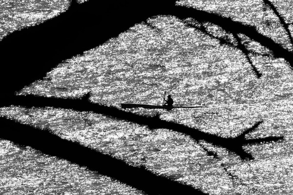 ©박종우, 기억의 소환 9.JPG