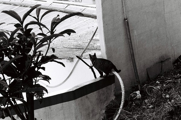 ⓒ이갑철, 침묵과 낭만, 중구, Gelatin Silver Print, 40.6x50.8cm, 2014 2.JPG