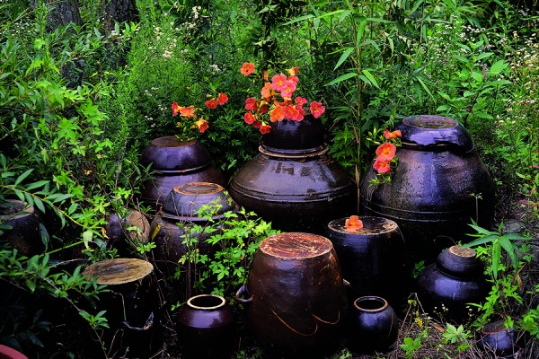 ⓒ김복만, 장독대, 경남 산청, C-Print, 가변크기 Variable Size, 1995 2.jpg