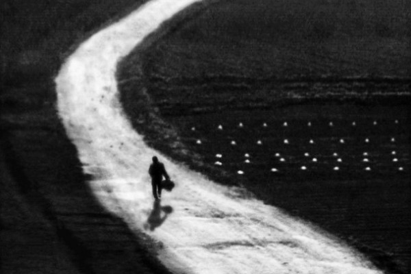 ⓒ황규태, 흑백 Black and White 2.jpg