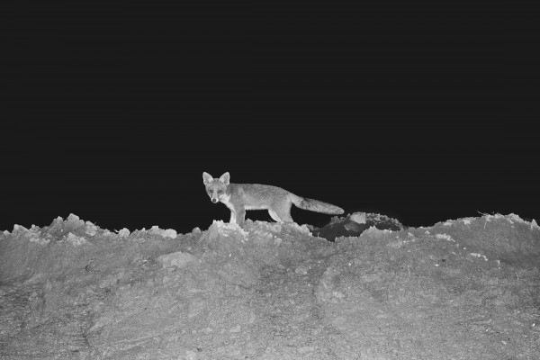 ©권도연, 파도를 기다려_02_잉크젯프린트_120x160cm_2022.jpg