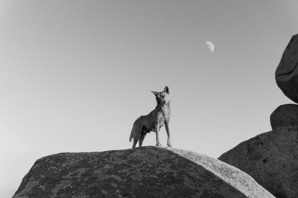 BUKHANSAN_13_SRGB .jpg